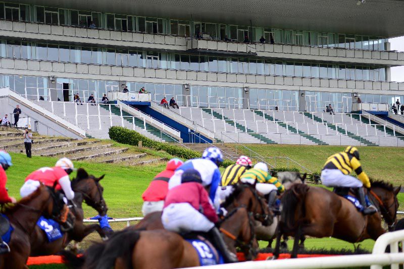 Limerick stage their flagship Munster National meeting this afternoon. 