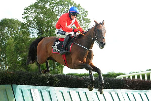 Malone Road and Keith Donoghue jumping the last
