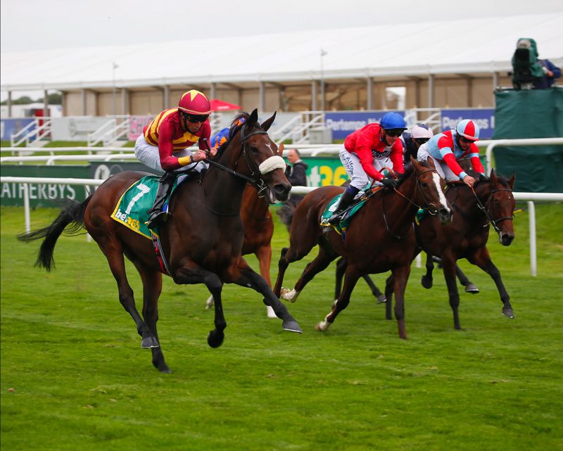 Runners pass empty enclosures at Doncaster last month