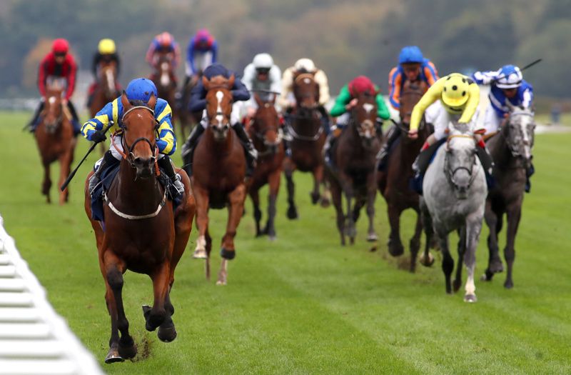 James Doyle will ride Trueshan in the Prix du Cadran 