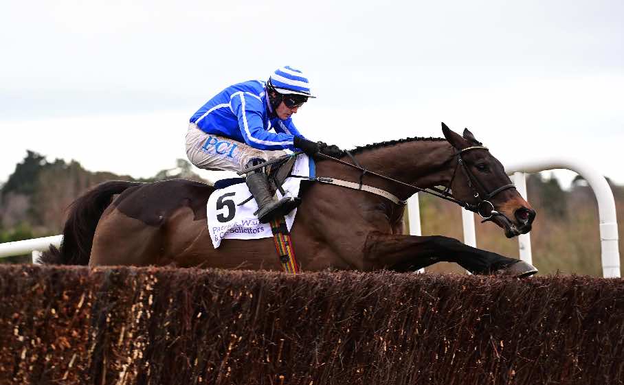 Energumene had an up and down week in the ante post betting for Cheltenham