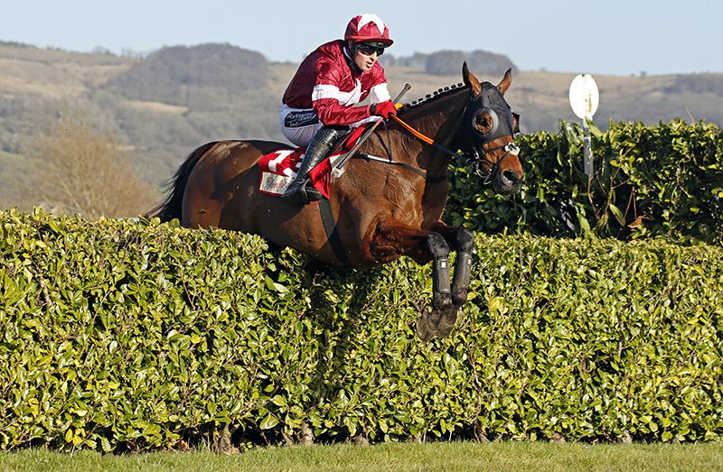 Tiger Roll and Keith Donoghue 