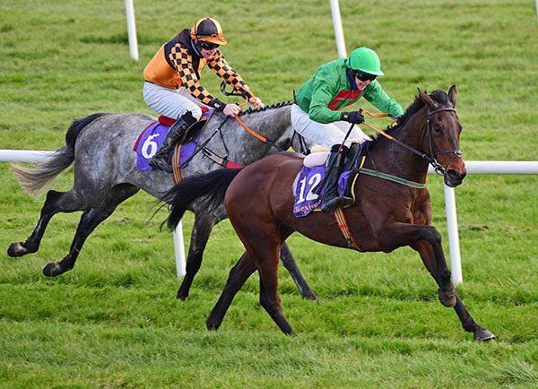 Pull Again Green (Shane Fitzgerald) beats Gris Gris Top (Harley Dunne)