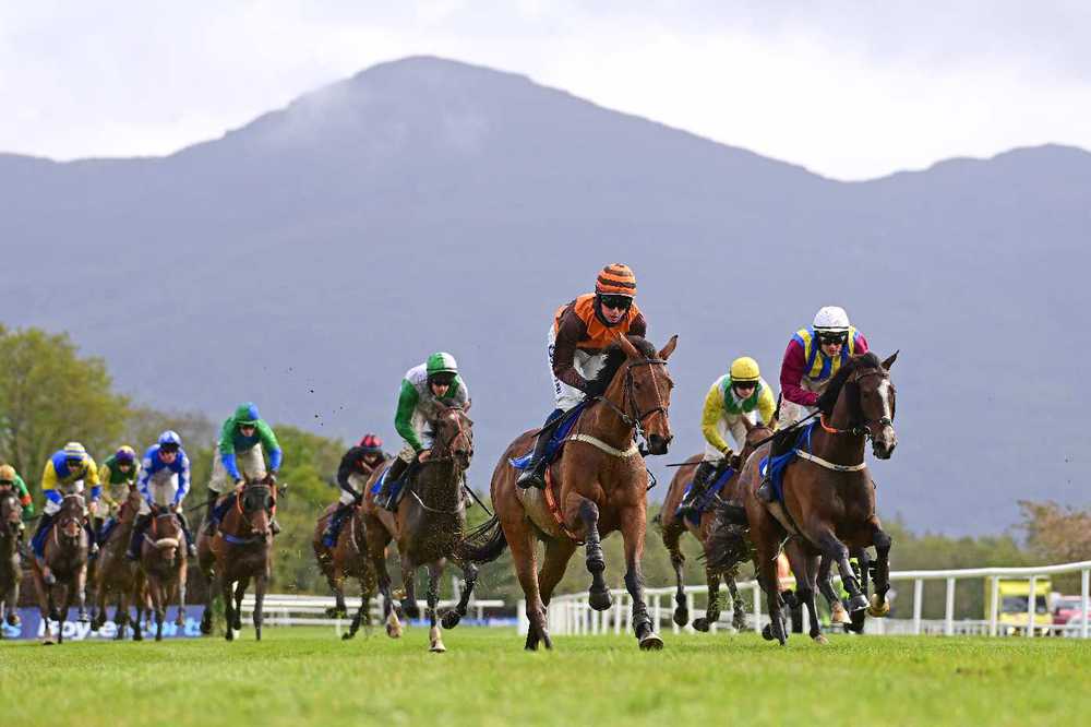 Day two of the Killarney May meeting takes place today