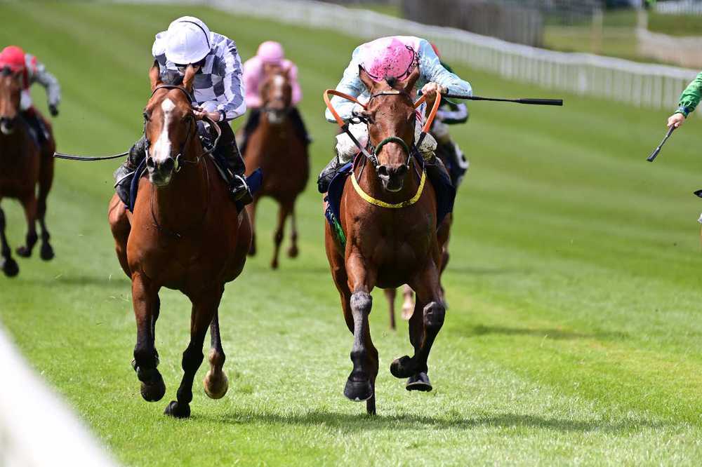 Helvic Dream (right) beating Broome in the Tattersalls Gold Cup