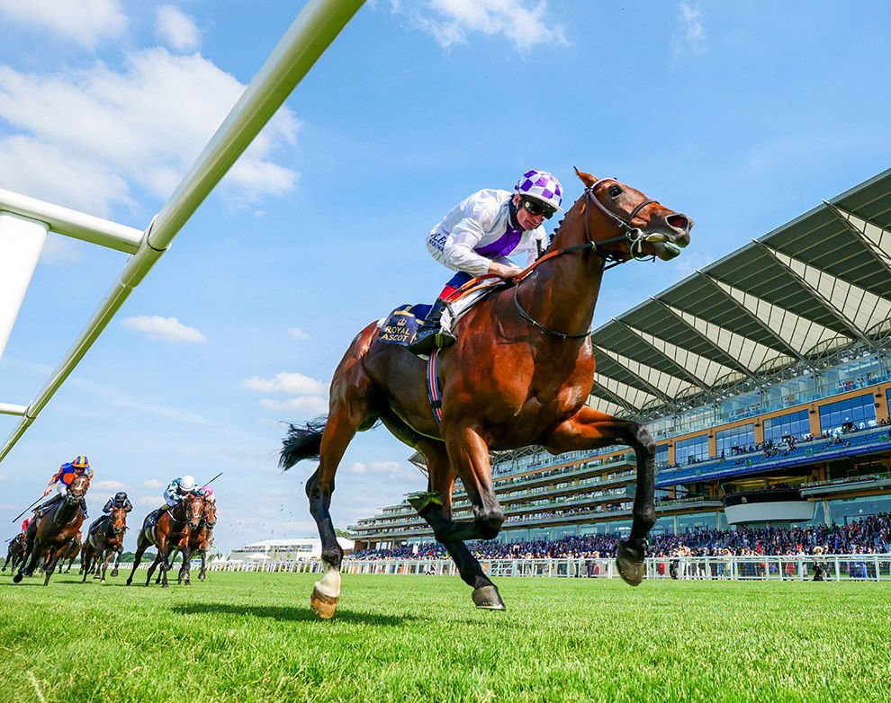 Poetic Flare won impressively at Royal Ascot