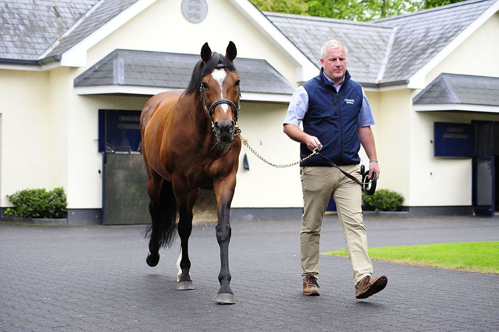 Coolmore Stud 