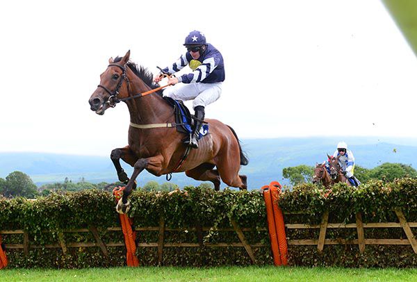 One For Joe clears the last under Philip Enright 