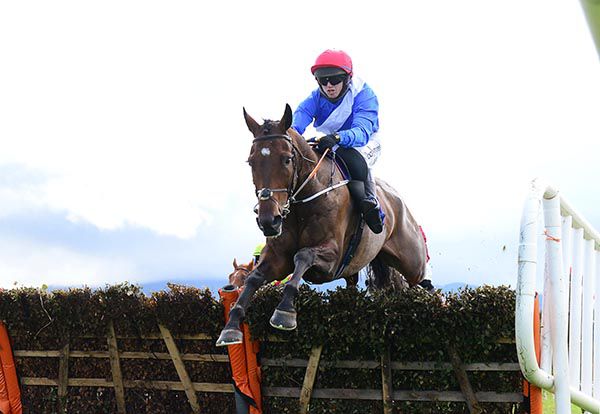 Given Wings and Darragh O'Keeffe jump the last 