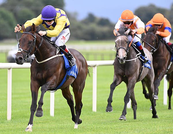 Recurrent Dream and Colin Keane beat the grey Arch Enemy 