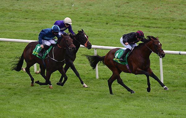 Seeingisbelieving (two shades of blue on cap) was third in a good maiden at last year's Listowel festival 