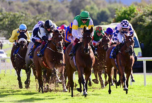 Powerful Aggie (green cap) wins eased down