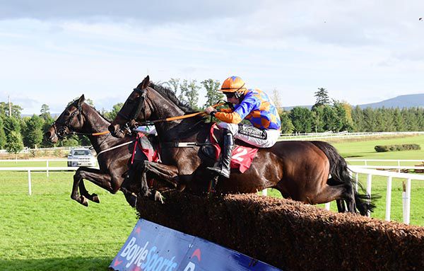 The Dabbler and Eoin Walsh (near side) jump the last upsides Clondaw Secret