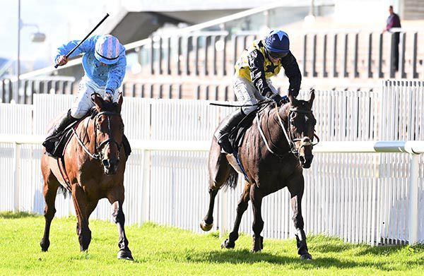 Noble Yeats (left) is ridden out by Brian Hayes to get the better of Gabynako
