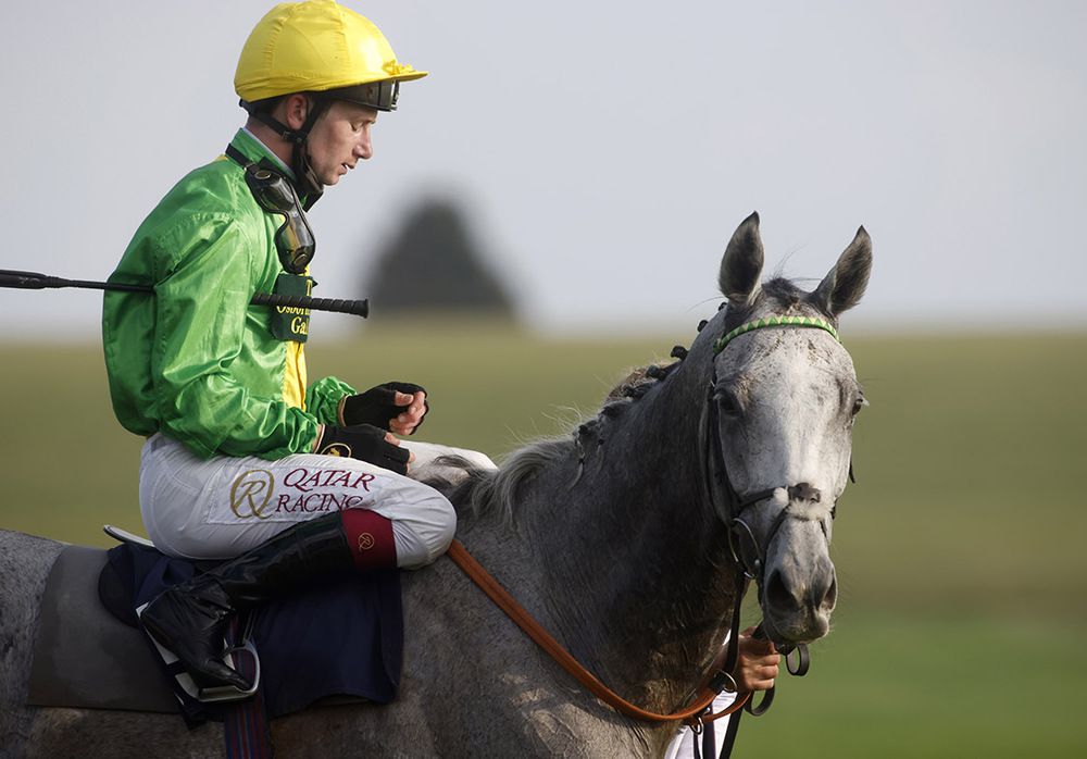 Buzz and Oisin Murphy won 3 times as much money winning the Newmarket Cesarewitch than Line Out did at the Curragh