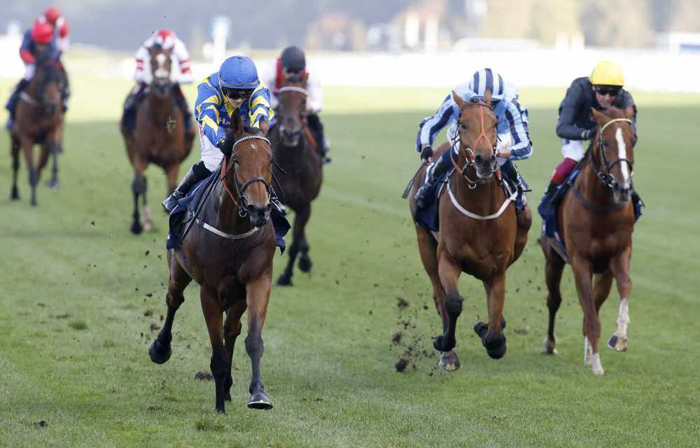 Trueshan beating Stradivarius for the third time at Ascot on Saturday