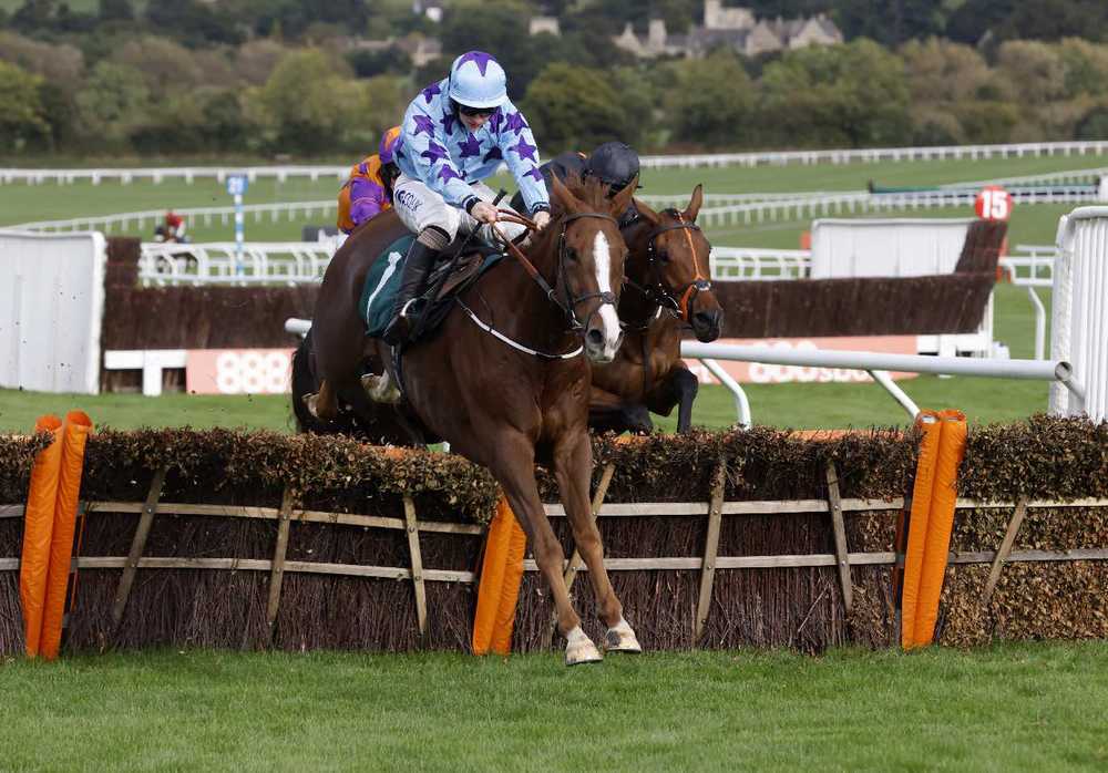 Bardenstown Lad (Sean Bowen) winning at Cheltenham last October