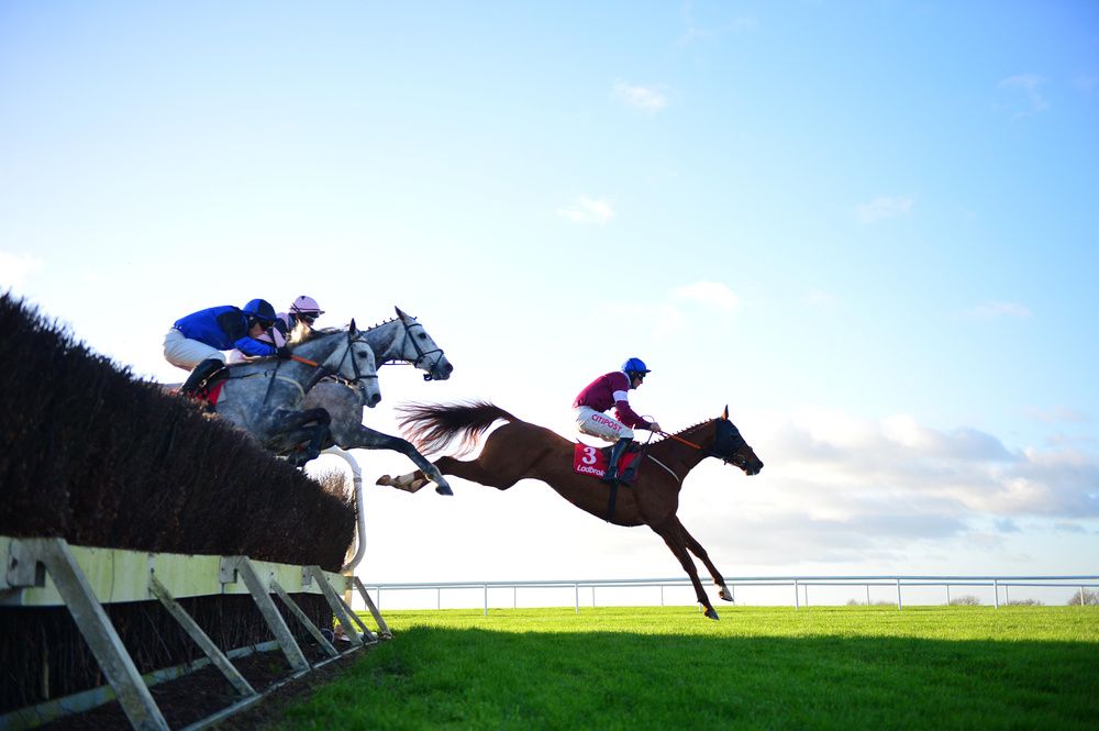 Run Wild Fred leading over a fence at Navan in November