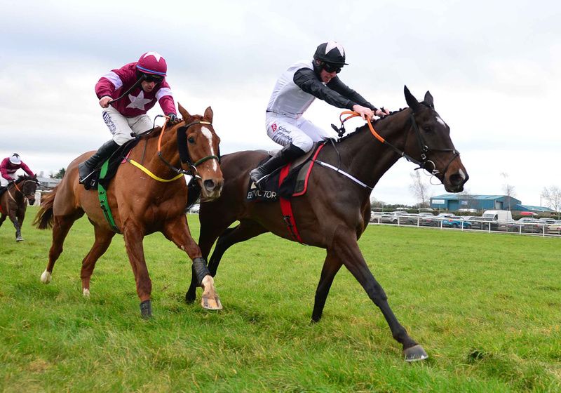 Gerri Colombe beating Idas Boy at Thurles