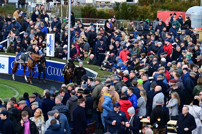 Leopardstown stages the second day of the Dublin Racing Festival this afternoon 