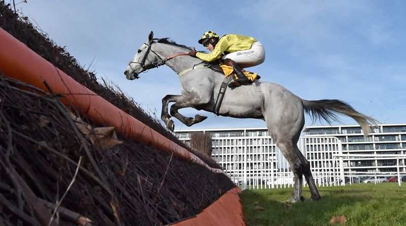 Eldorado Allen Brendan Powell wins the Betfair Denman Steeple Chase at Newbury Racecourse 12 02 22 HEALY RACING