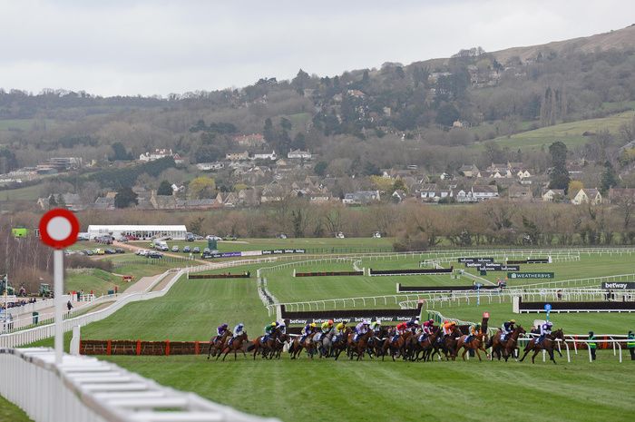 Cheltenham action