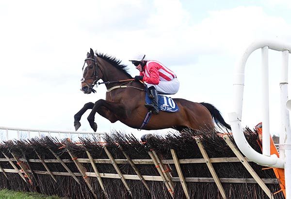 Flashthelights and Michael McConville jumping the last