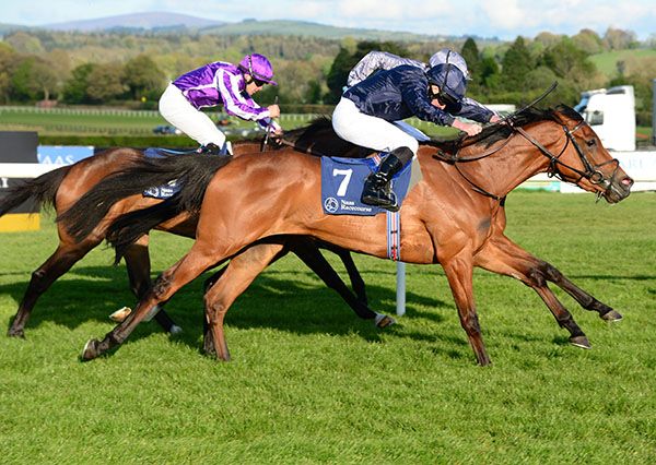 Emily Dickinson finishes well in Naas