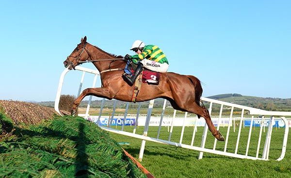 Capodanno and Mark Walsh jump the last