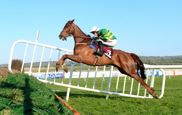 Capodanno and Mark Walsh in winning action at Punchestown