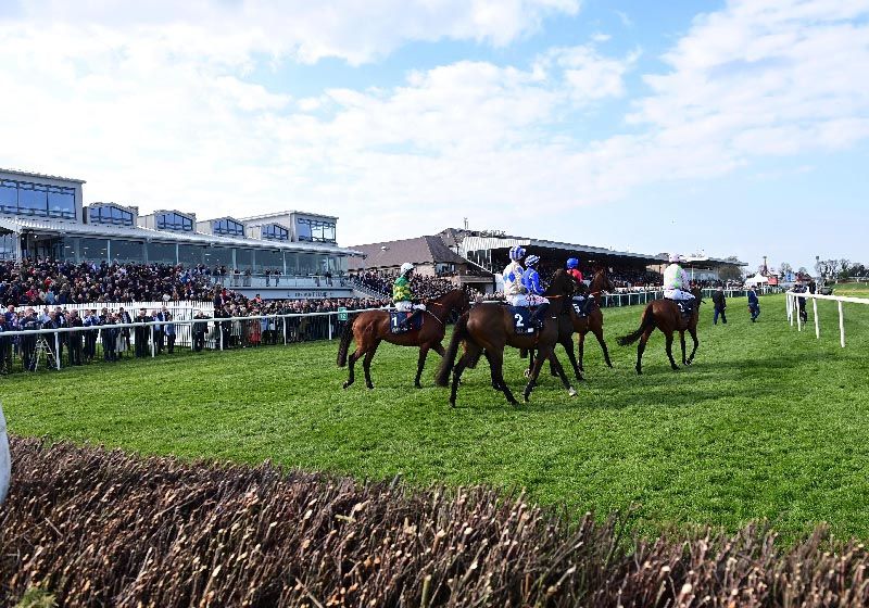 Punchestown Racecourse