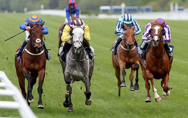 Princess Zoe and Joseph Sheridan yellow sleeves winning The Longines Sagaro Stakes Ascot 27 4 22Healy Racing Photo