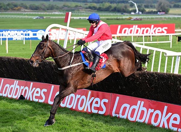 Punchestown 27 4 22 ALLAHO and Paul Townend jump the last to win the Ladbrokes Punchestown Gold Cup Grade 1 Healy Racing 