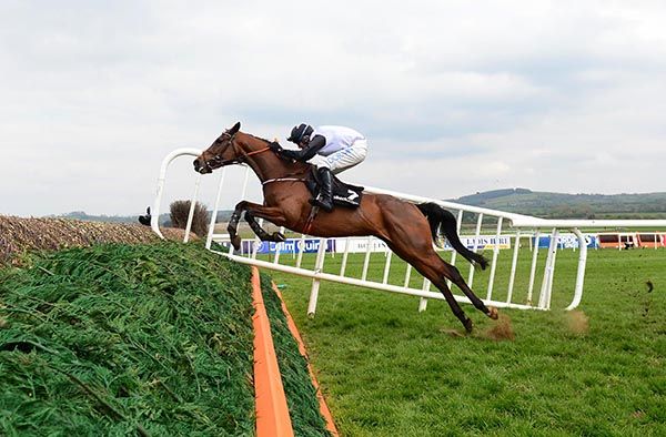 Magic Daze in winning action at Punchestown