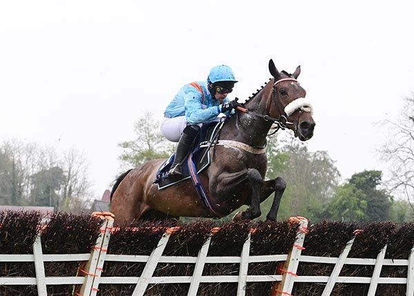 MARIE'S ROCK is favourite for the Mares' Hurdle at the Cheltenham Festival