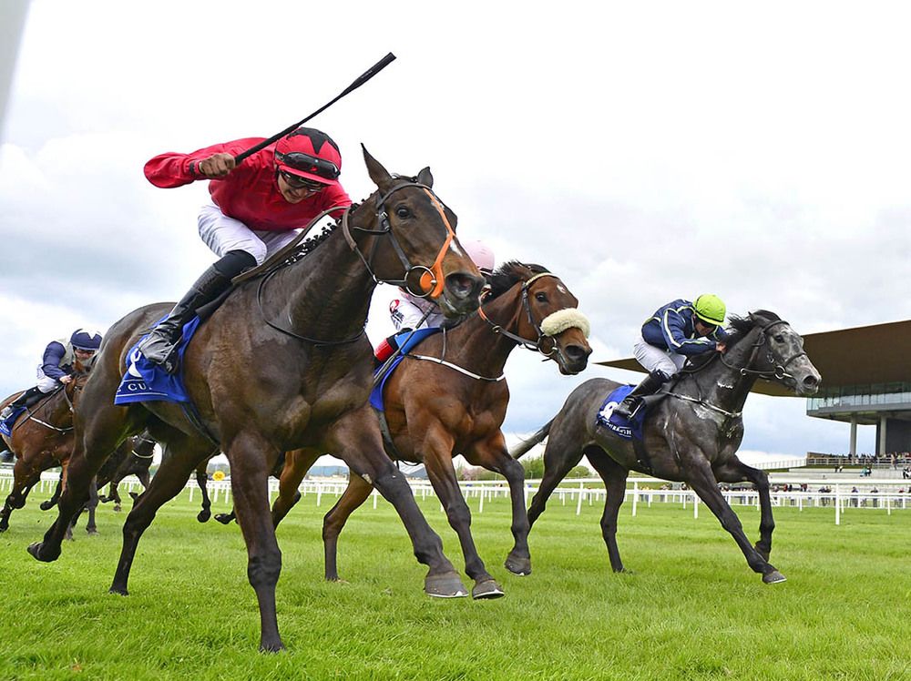 Independent Expert (nearside) just beating Tawny Coster (right) and Queen's Pardon