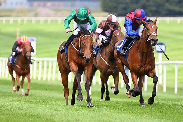 Shartash and Ben Coen on target for National Stakes 