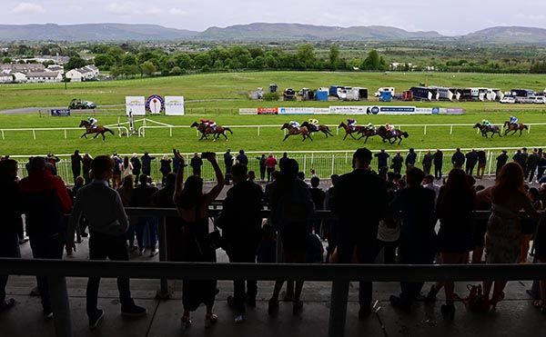 Gradulations leads home her rivals in front of the Sligo crowd
