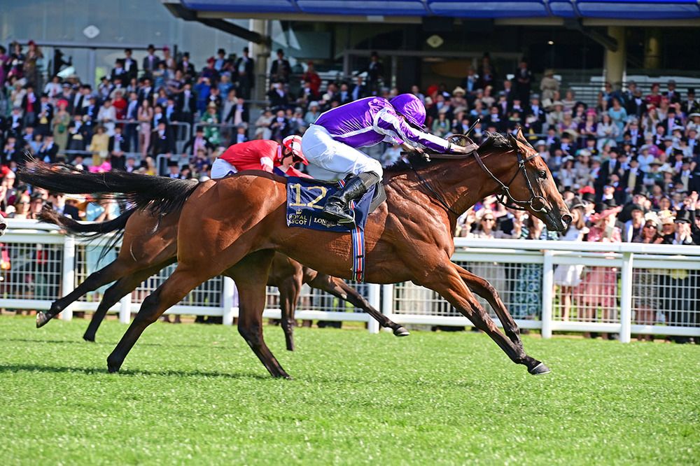 Little Big Bear winning at Royal Ascot last year