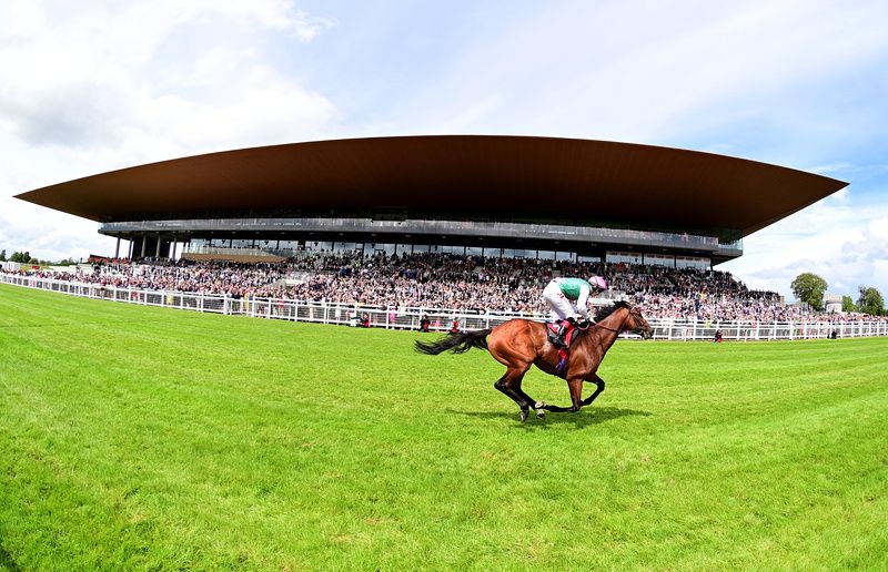 Westover and Colin Keane win the Irish Derby in front of an almost full Curragh