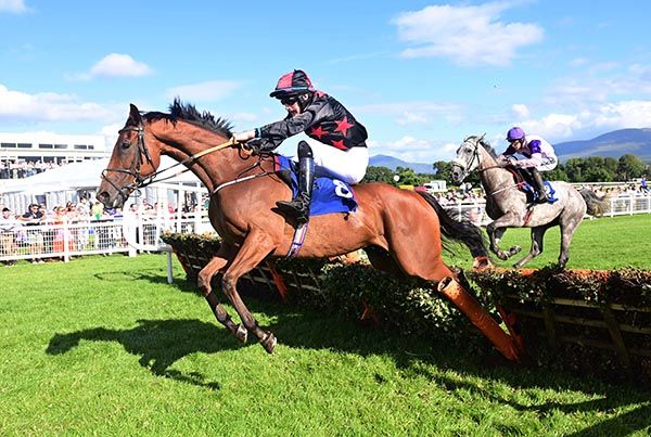 Vale Of Glory and Eoin Kelly jump the last