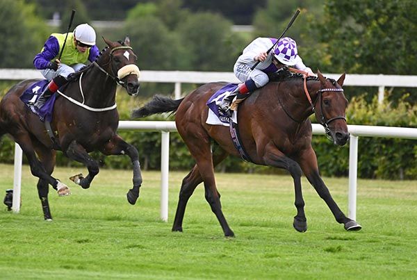 Boundless Ocean and Kevin Manning winning at Leopardstown 