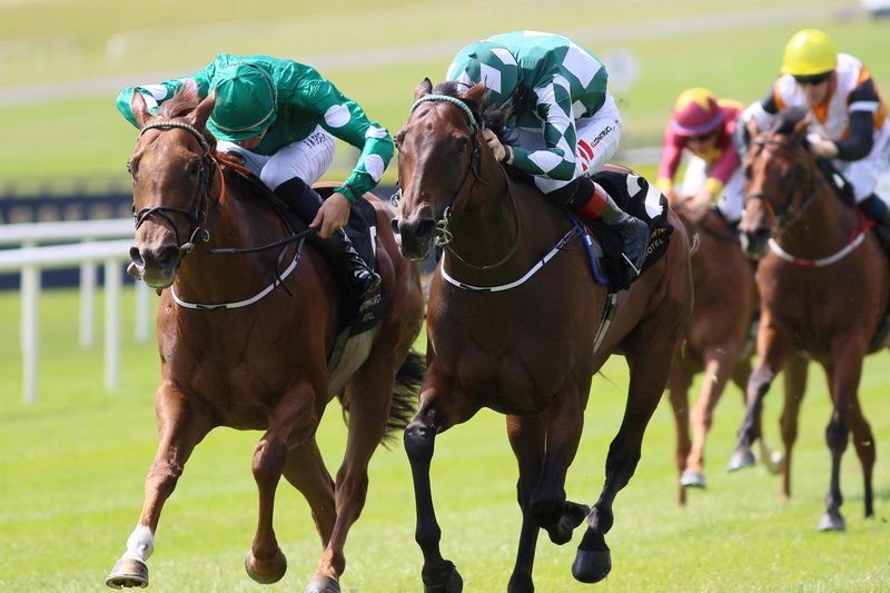 Ladies Church (left) just beating Mooneista at the Curragh