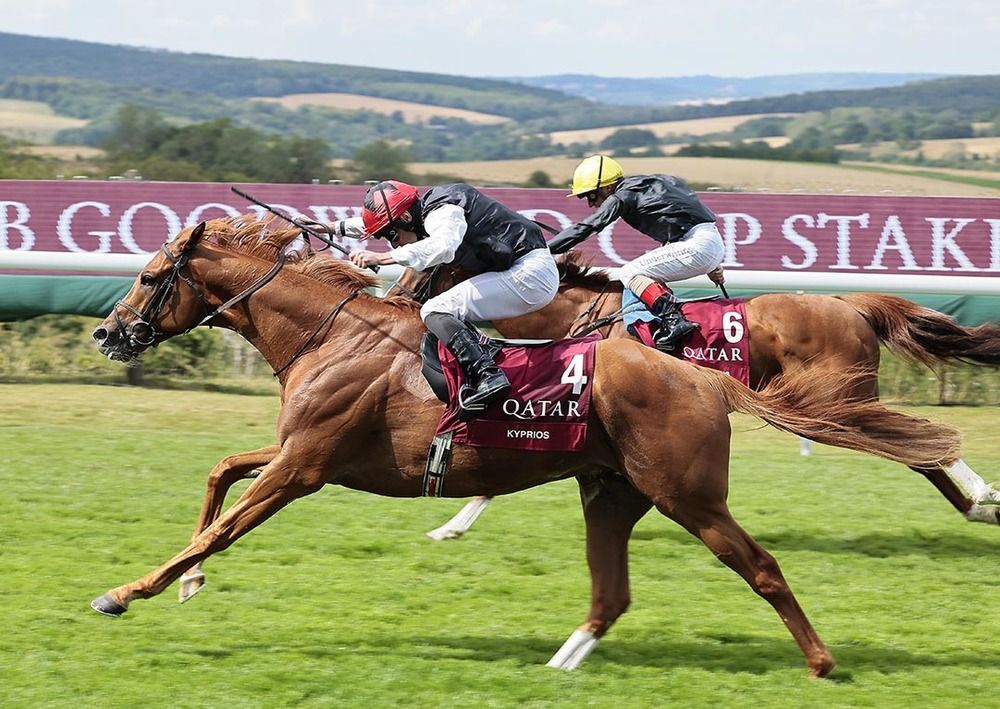 Kyprios (nearest) beating Stradivarius in the 2022 Goodwood Cup  