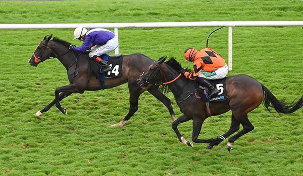 Flame Of Eire and Andy Slattery win at Galway 