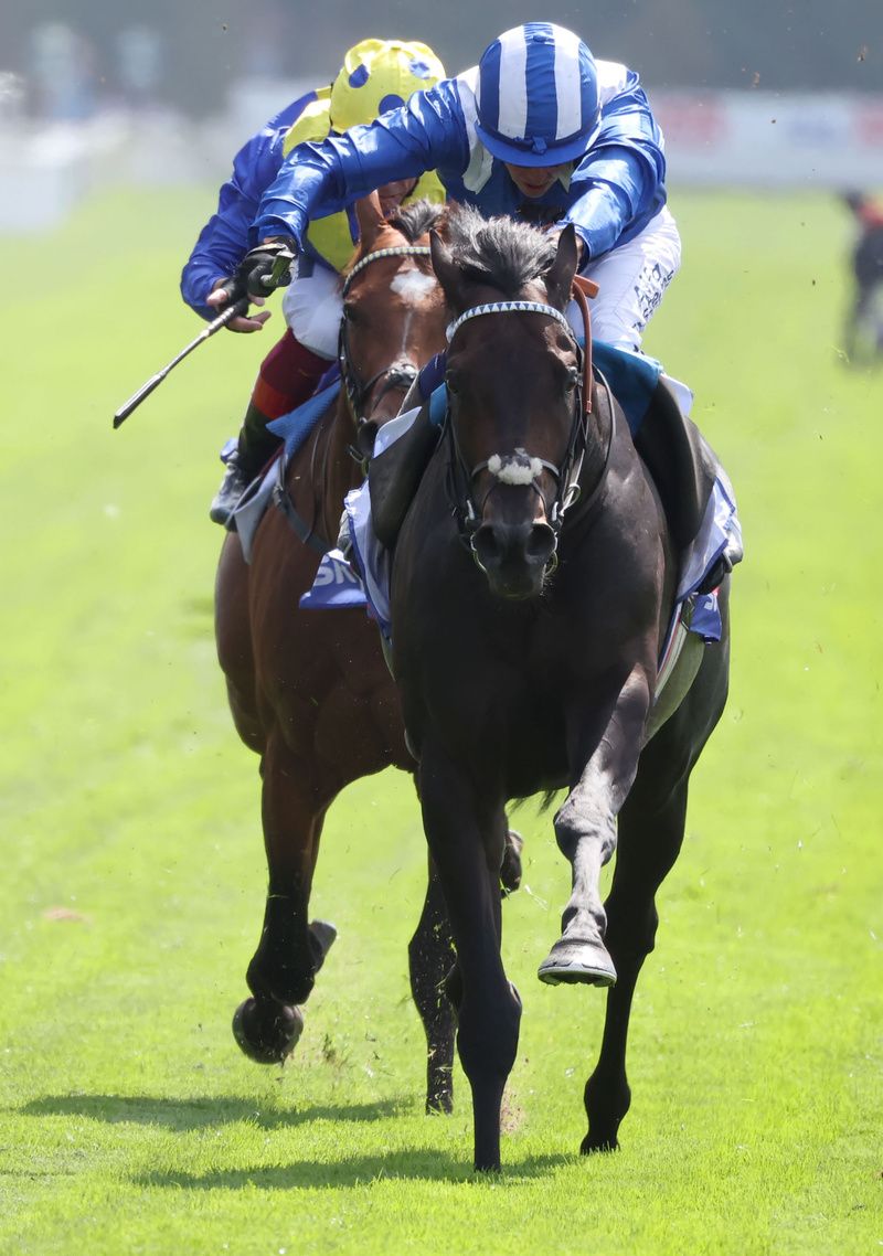 Alflaila set to miss the Eclipse Stakes. 