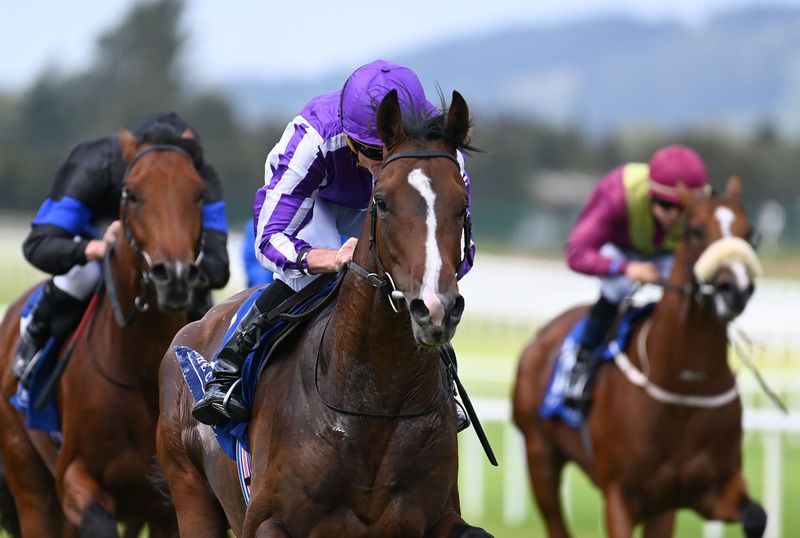 CONTINUOUS and Ryan Moore win for trainer Aidan O Brien HEALY RACING