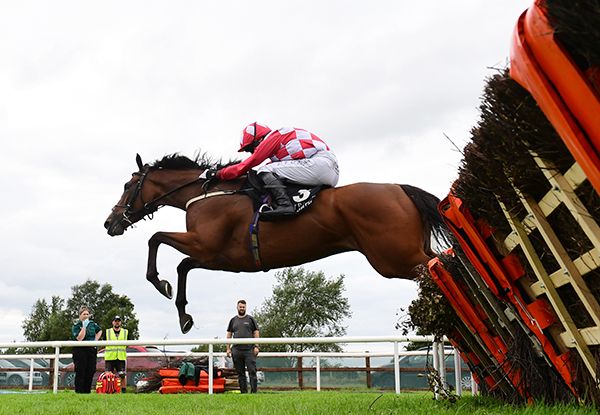 Scenic Look shed her maiden tag over hurdles 