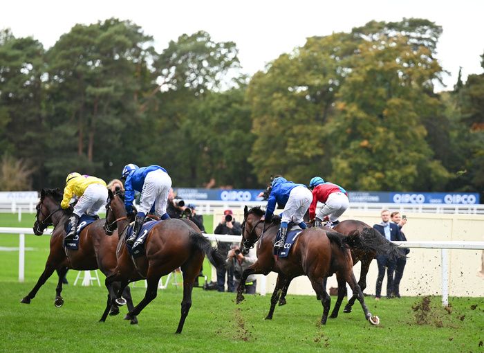 Baaeed finishing 4th in the hands of Jim Crowley (near-side) behind Bay Bridge in the 2022 Champion Stakes