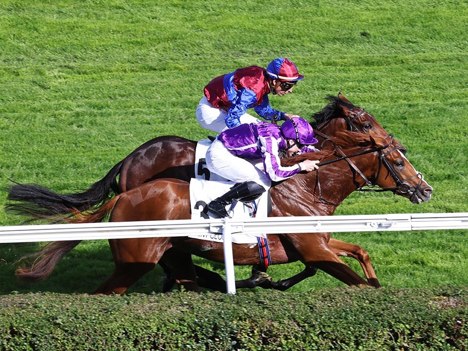 Proud And Regal (nearside) just beating Espionage in the Criterium International